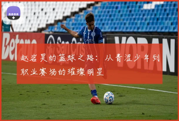 赵岩昊的篮球之路：从青涩少年到职业赛场的璀璨明星