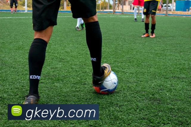 雷火竞技服务体系